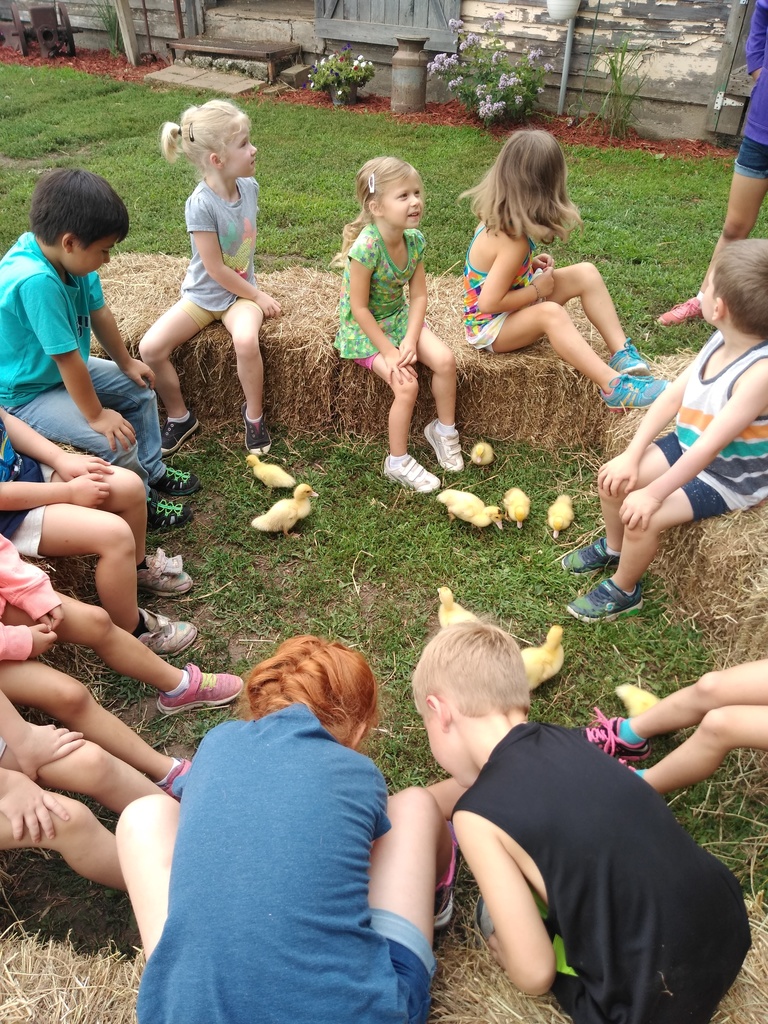 Kindercamp at lindberg farm