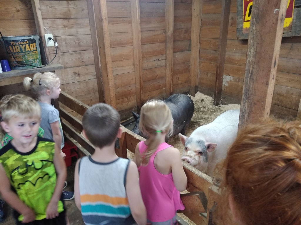 Kindercamp at lindberg farm