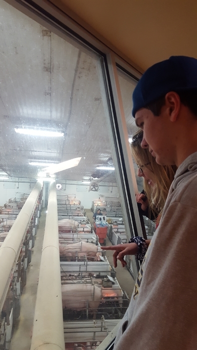 checking out the gestation creates. 
