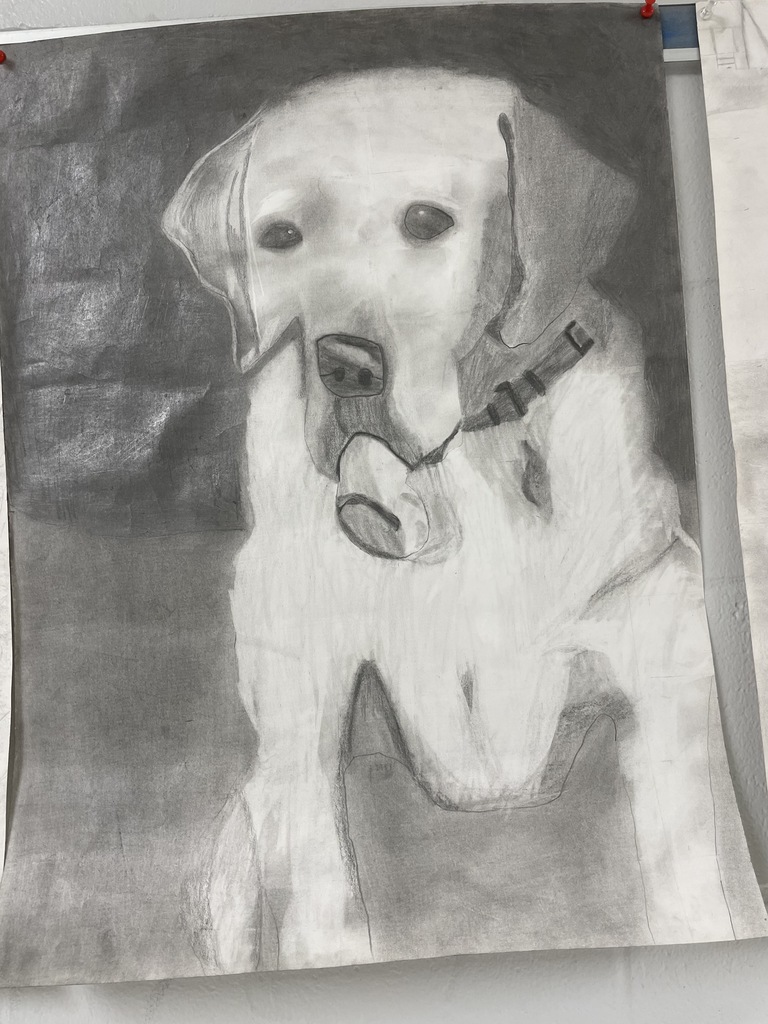 dog