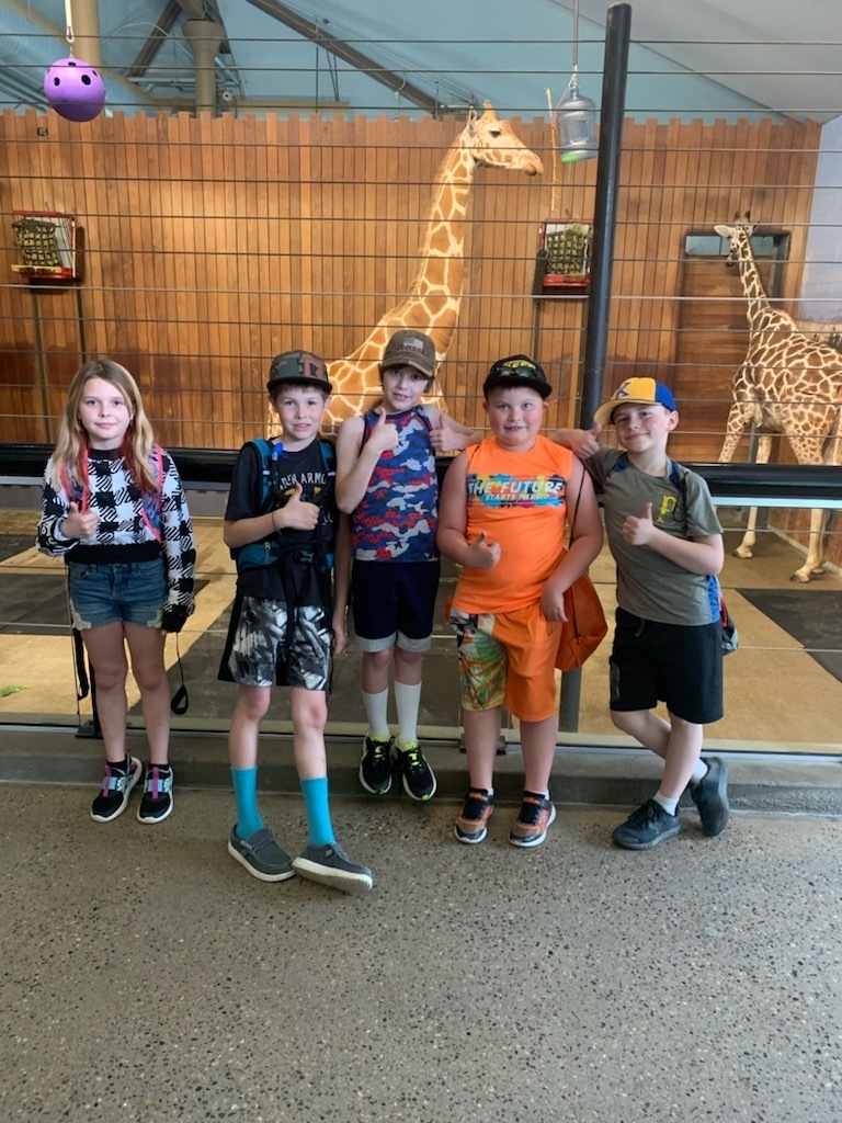 third grade at como zoo.  giraffes