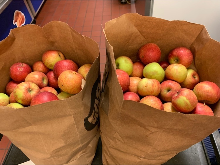 Apples donated from Helen Waltzing.