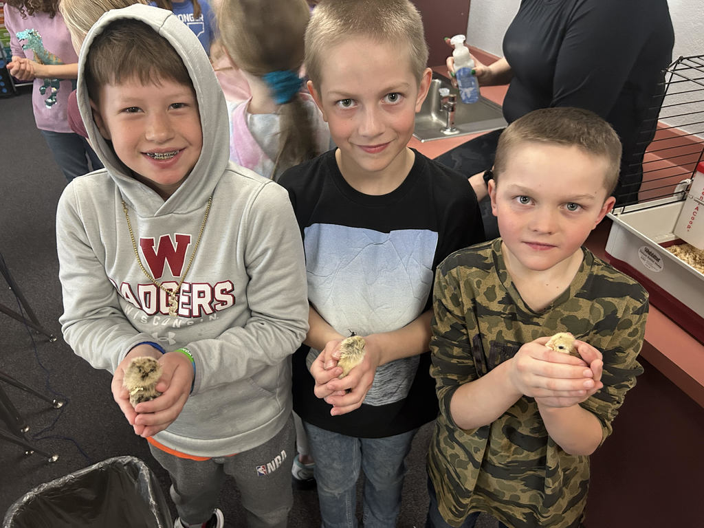 3 students holding chicks